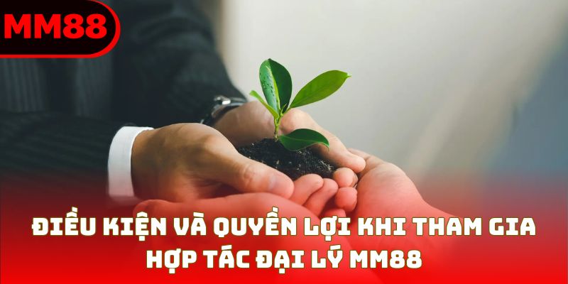 Điều kiện và quyền lợi khi tham gia hợp tác đại lý MM88